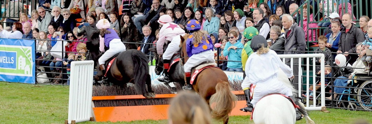 Moreshire County Show